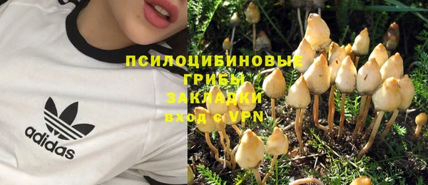 mdpv Горнозаводск