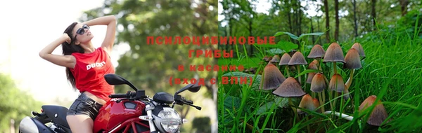 MDMA Premium VHQ Абдулино