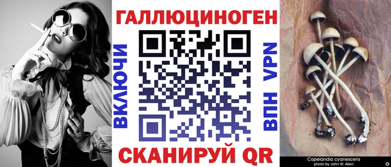 hydra ссылки  даркнет какой сайт  Псилоцибиновые грибы Magic Shrooms  Новомичуринск 